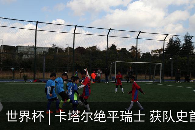 世界杯 | 卡塔尔绝平瑞士 获队史首个世界杯积分
